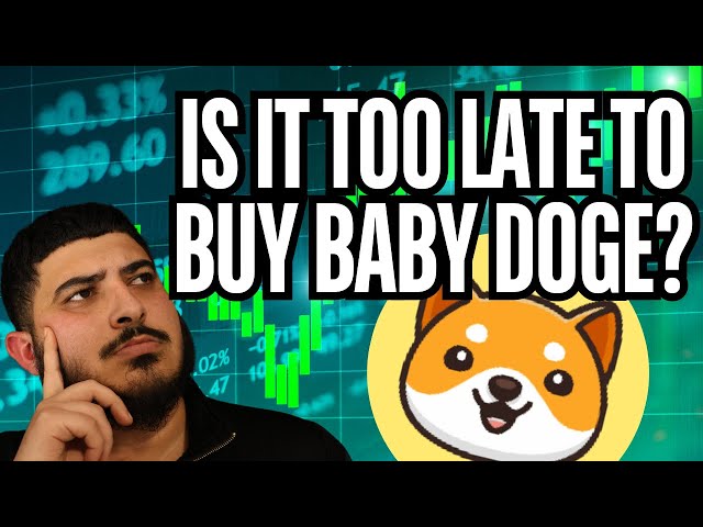 IS IT TOO LATE TO BUY BABY DOGE ? 100X COMING SOON ? ELON TWEETED !!