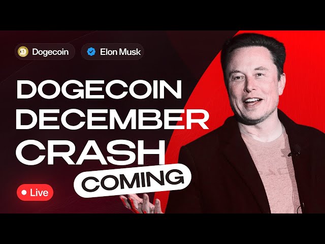 Elon Musk on the FALL of cryptocurrency 📉 LIVE: $1 DOGE prediction! Will it fall harder?