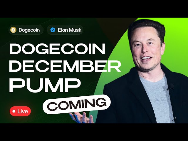 Elon Musk about the FALL of cryptocurrency 📉 LIVE: $2 DOGE prediction! Get ready for a surge!