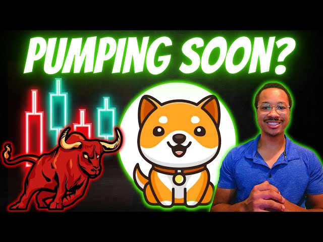 BABY DOGE ARMY: Don't MISS This Next PUMP