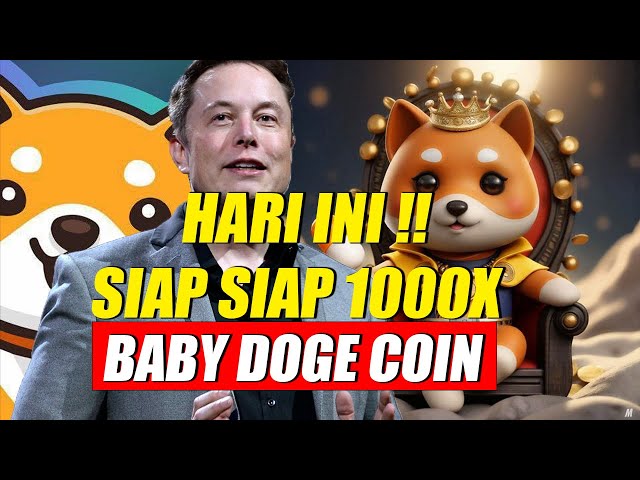 12122024X 🚀🚀🚀 Ready Ready Today!! Baby Doge Coin Ready to Launch