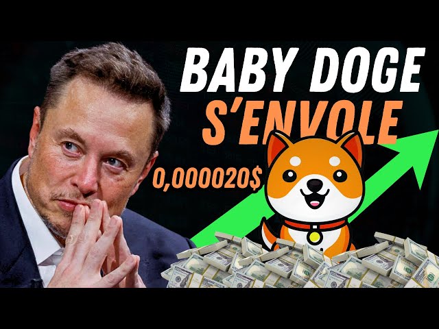 🔴BABY DOGE COIN Cryptocurrency Soars $0.000002