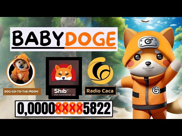 🔥BABY DOGE COIN // DOG GO TO THE MOON + RADIO CACA E SHIBA INU🔥#babydogecoin #doggotothemoon