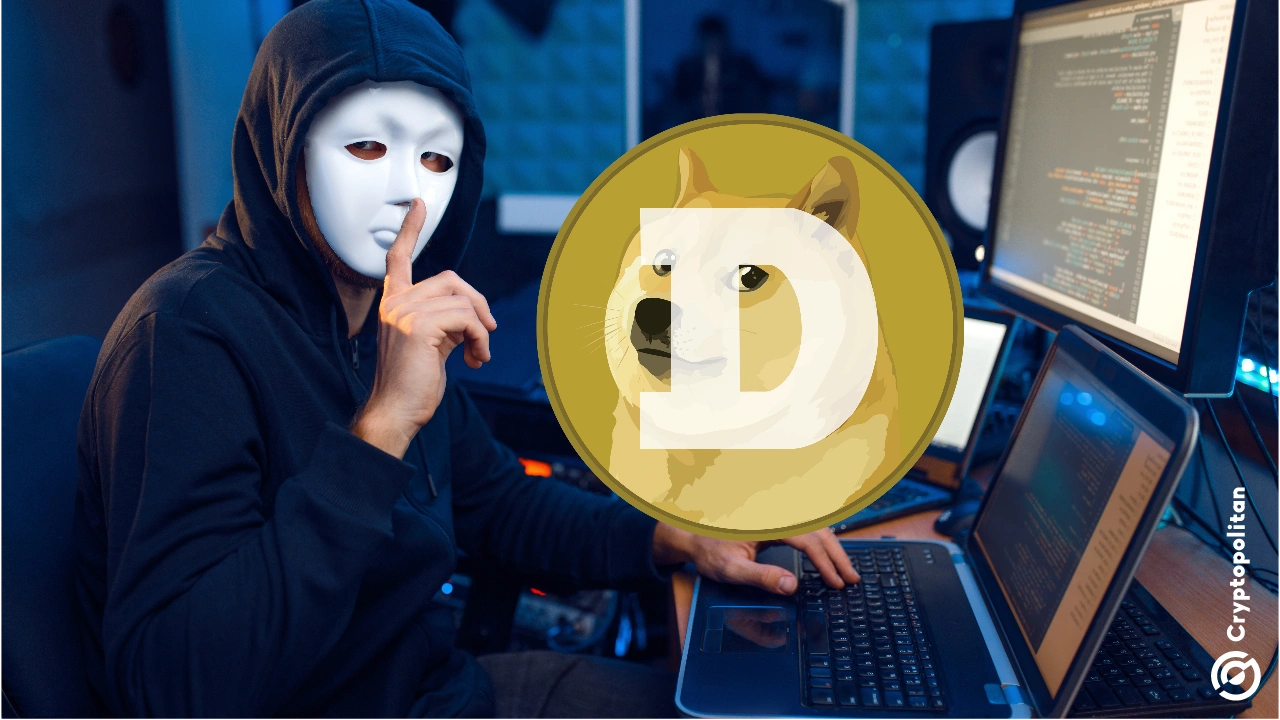 Dogecoin network exploited by hackers – crashes 69% of nodes