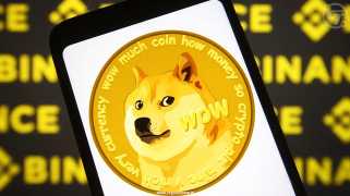 Ceffu Transfers $30M Worth of Dogecoin to Binance