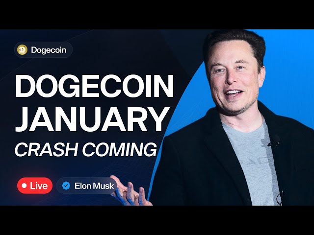 Elon Musk - Get ready for the GROWTH of DOGE! 📈 LIVE: $3 DOGE prediction! Or is a fall coming?