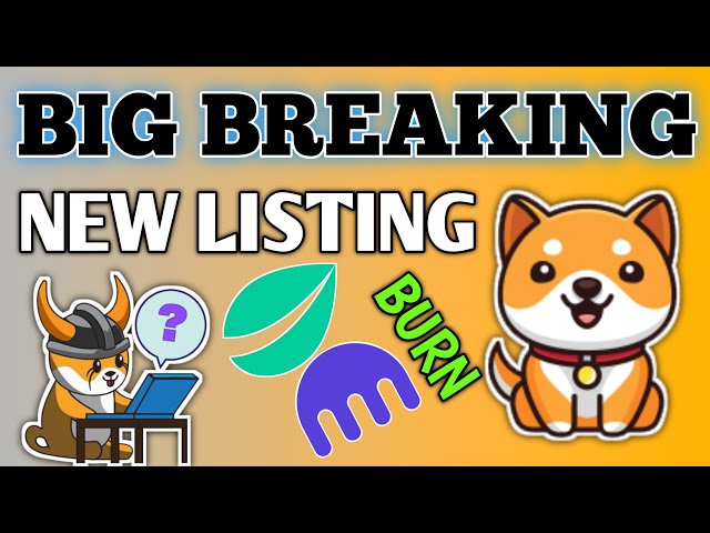 Big bang of Baby dogecoin 📣 on Binance, Coingecko and Coinbase 🚀 Baby Dogecoin news today