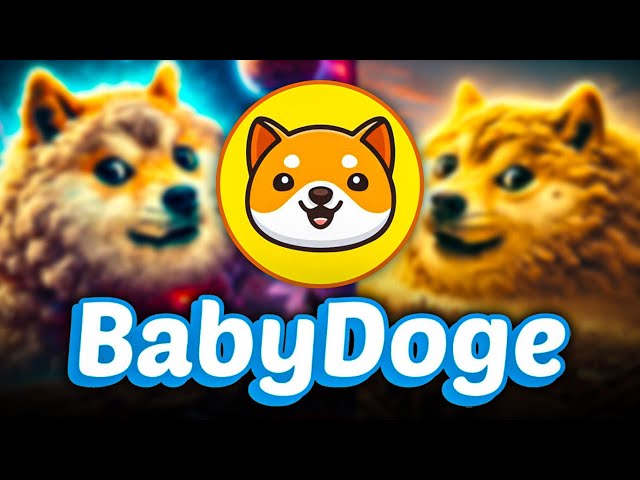 BABY DOGE: Big Week Already, But Bigger News on the Horizon?!?