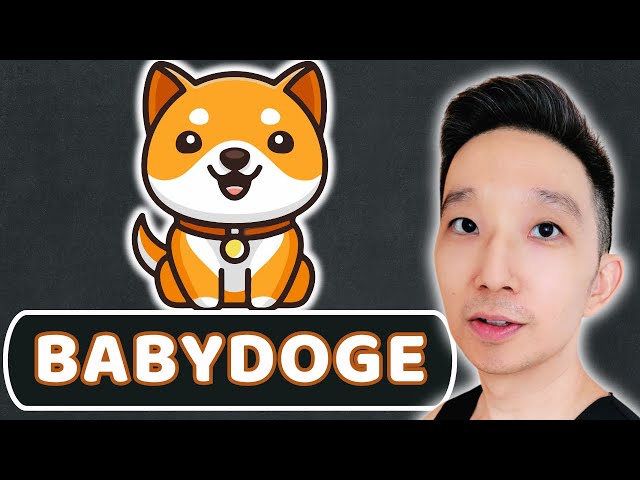 BABYDOGE Price Prediction (12 Dec 2024)