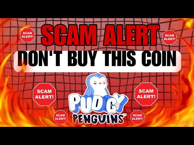 Pudgy Penguin 🐧 Coin Big Scam 😨 Pudgy Penguin News Today/ Pudgy Penguin price prediction 2025