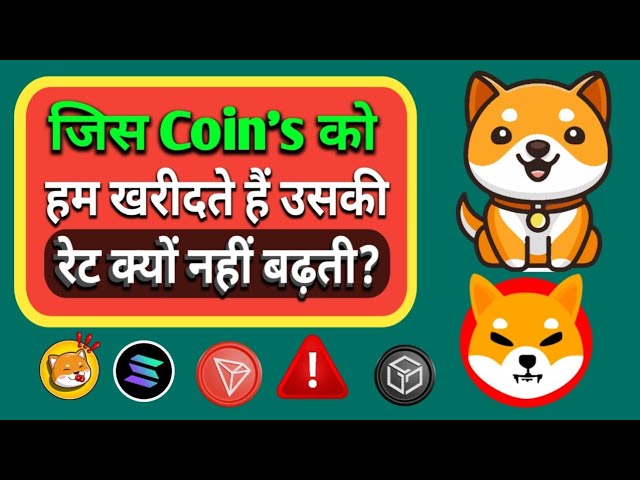 Why does the rate of the Crypto Coin we buy not increase? Baby Dogecoin Update | shiba inu