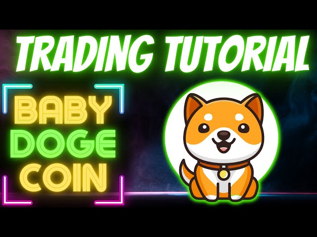 TRADING BABY DOGE COIN FOR INCOME