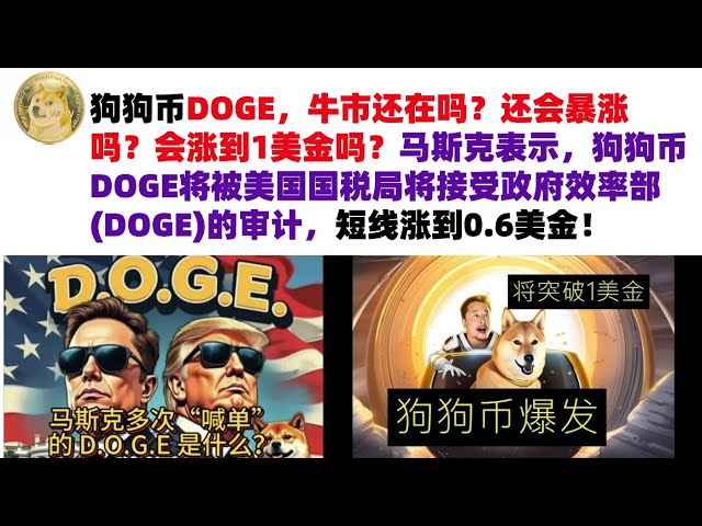 Dogecoin DOGE, is the bull market still there? Will it still skyrocket? Will it rise to $1? Musk said that Dogecoin DOGE will be audited by the US Internal Revenue Service and will be audited by the Department of Government Efficiency (DOGE), and it will 