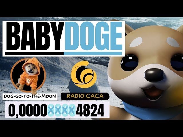 🔥BABY DOGE COIN // RADIO CACA + DOG GO TO THE MOON + SHIBA INU🔥#babydoge #shib #raca