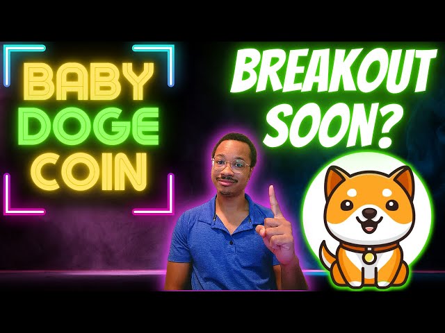 BABY DOGE ARMY: DO NOT MISS OUT ON THIS NEXT PUMP!