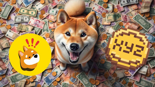 Dogecoin 백만장자들은 2025년의 차세대 빅 플레이어로 BONK와 XYZVerse를 선택했습니다!