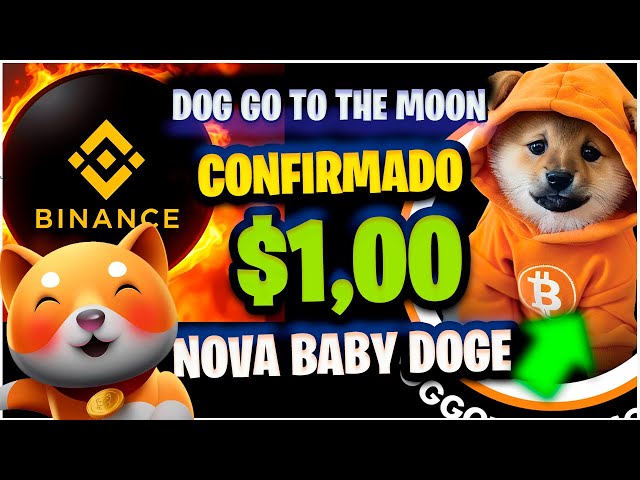 $1,00 DOG GO THO THE MOON NOVA BABY DOGE COIN   DA  BINANCE  BABY DOGE COIN  LEONIDAS