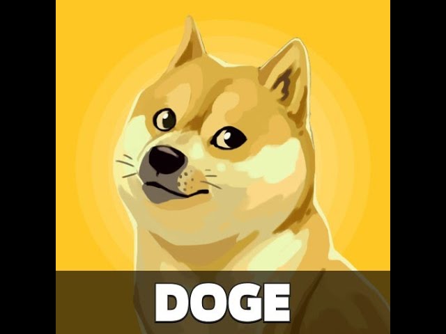 DOGE Coin - Technical Analysis DEC 2024!!!