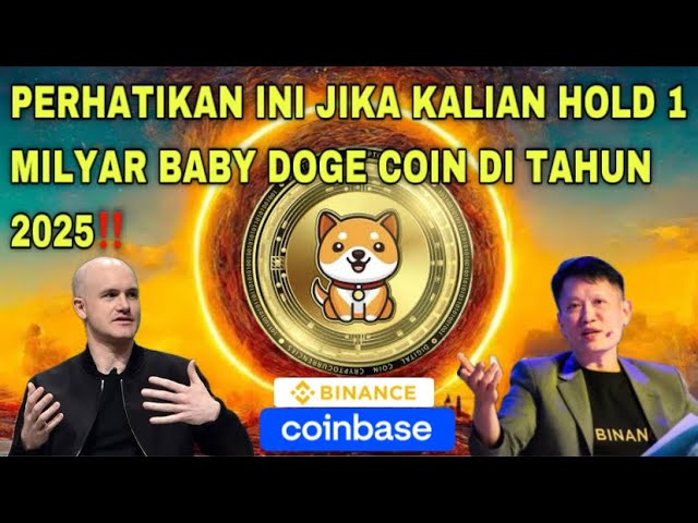 PAY ATTENTION TO THIS IF YOU HOLD 1 BILLION BABY DOGE COINS IN 2025‼️