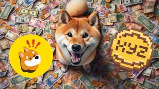 Dogecoin Millionaire nomme BONK et XYZVerse comme les stars du marché des crypto-monnaies en 2025 !