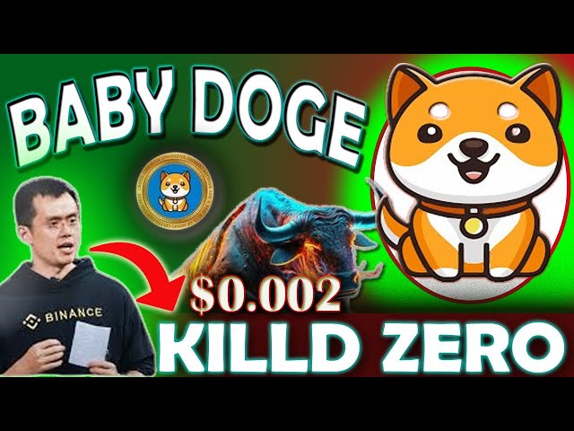 BabyDoge super Bullish News? Killed Zero | Babydoge coin tuch $0.002? Baby Doge Coin vs. Other Meme