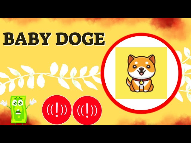 BABYDOGE Prediction 13/DEC BABYDOG Coin Price News Today Crypto Technical Analysis Update Price Now