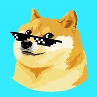 DOGE 1$