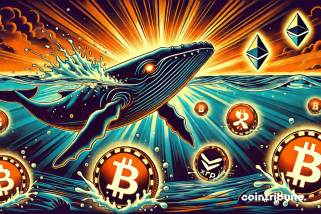 Why Are Crypto Whales Betting On These 4 Tokens?