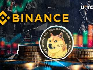 4,999,999,999 DOGE Withdrawal Stuns World's Largest Exchange: Details