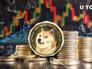 關鍵狗狗幣 (DOGE) 指標激增：詳細信息