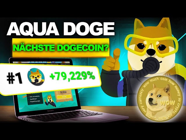 🚨AquaDoge | Is the coin worth it? | German | Crypto Den