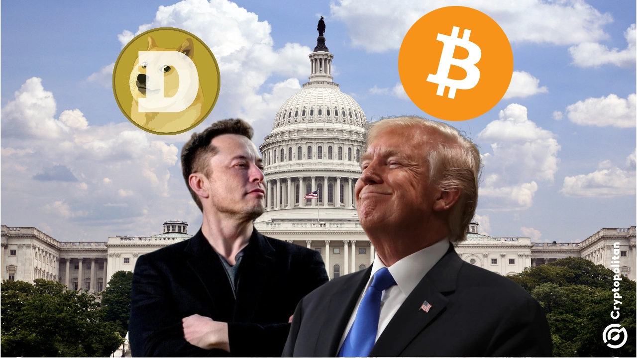 What if Trump and Elon make Bitcoin and Dogecoin legal tender in America?