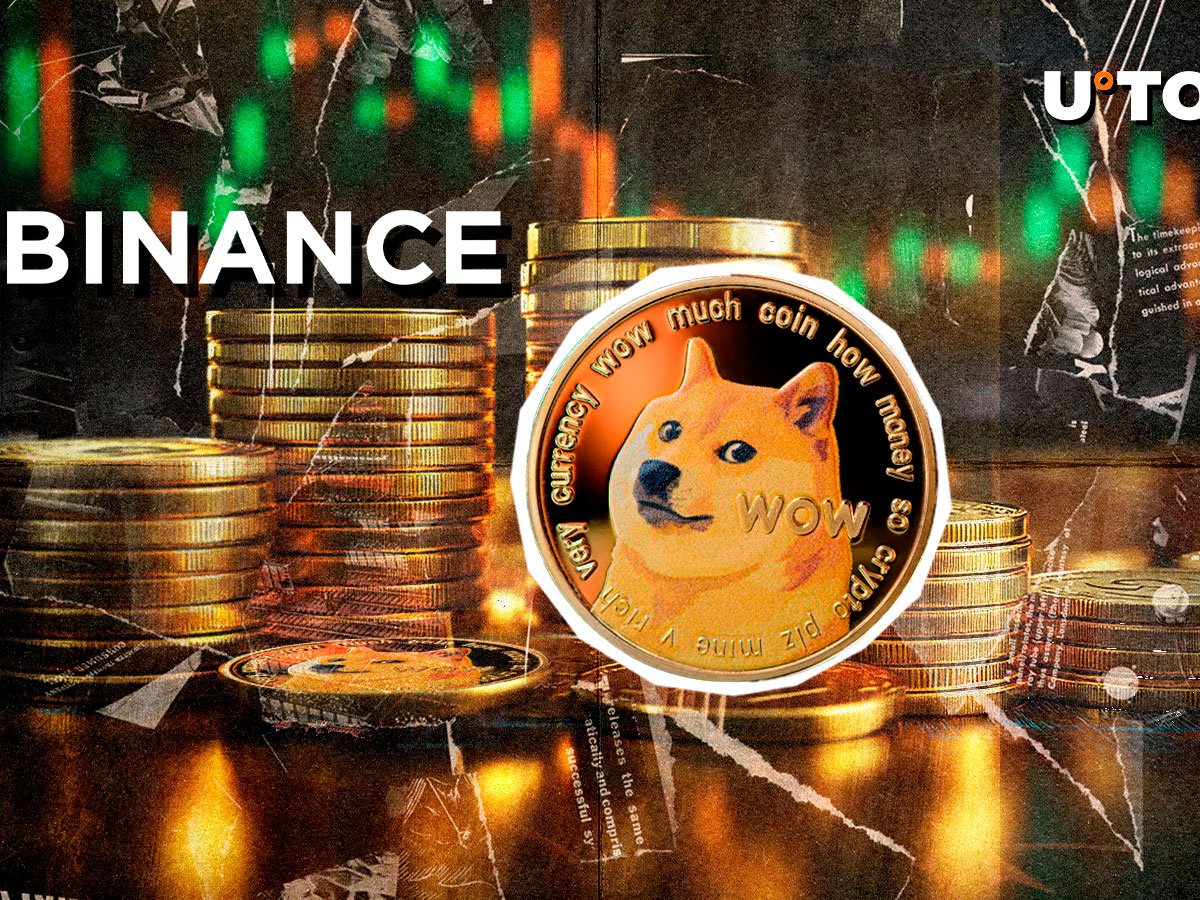 200 Million Dogecoin Stuns Binance in Major Move