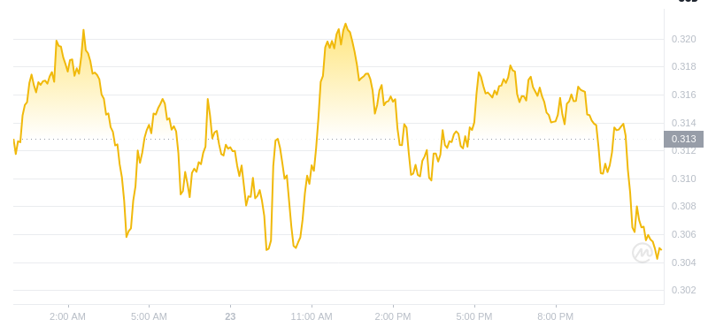 2024년 12월 24일 00:00의 Dogecoin 최신 가격