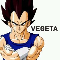 贝吉塔💫VEGETA