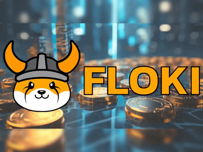 Floki 将于 2025 年初在瑞士六大交易所推出 ETP