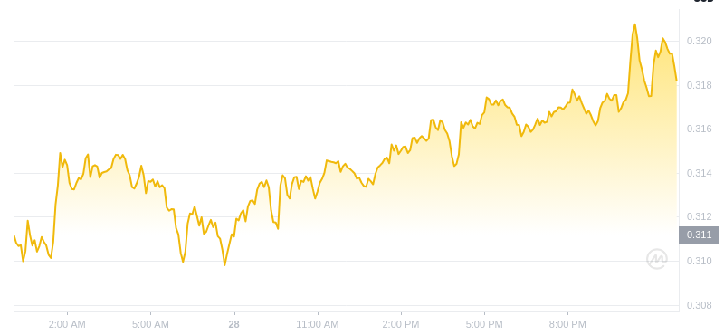 The latest price of Dogecoin at 00:00 on December 29, 2024