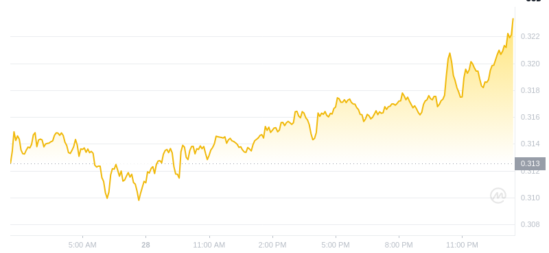 The latest price of Dogecoin at 01:00 on December 29, 2024