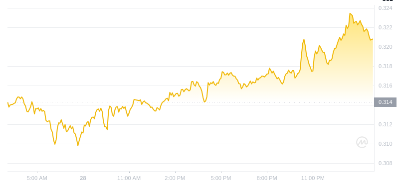 2024年12月29日03時時点のドージコインの最新価格