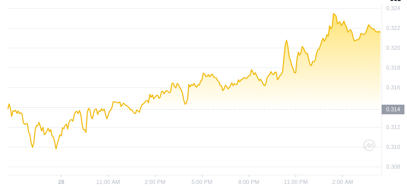 2024년 12월 29일 04:00의 Dogecoin 최신 가격