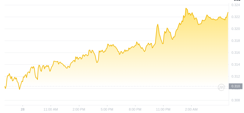 Le dernier prix du Dogecoin à 06h00 le 29 décembre 2024