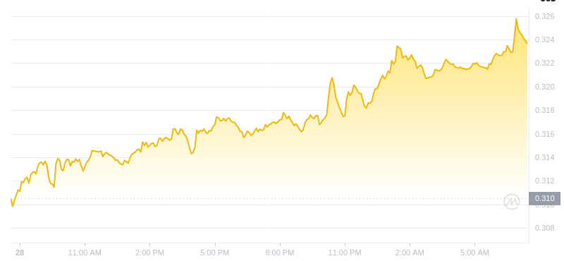 Der aktuellste Preis von Dogecoin um 07:00 Uhr am 29. Dezember 2024