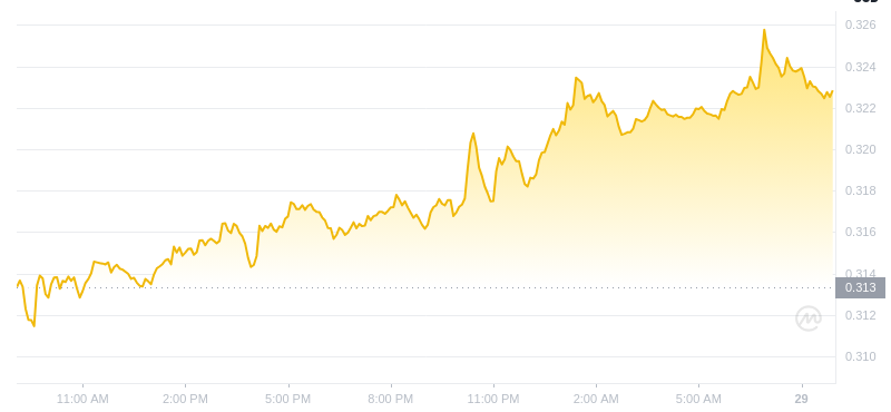 2024년 12월 29일 09:00의 Dogecoin 최신 가격