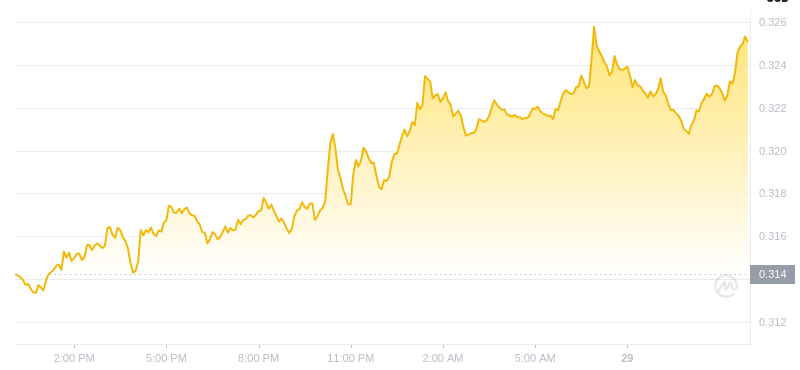 Der aktuelle Preis von Dogecoin um 12:00 Uhr am 29. Dezember 2024