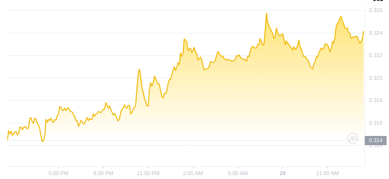 The latest price of Dogecoin at 13:00 on December 29, 2024