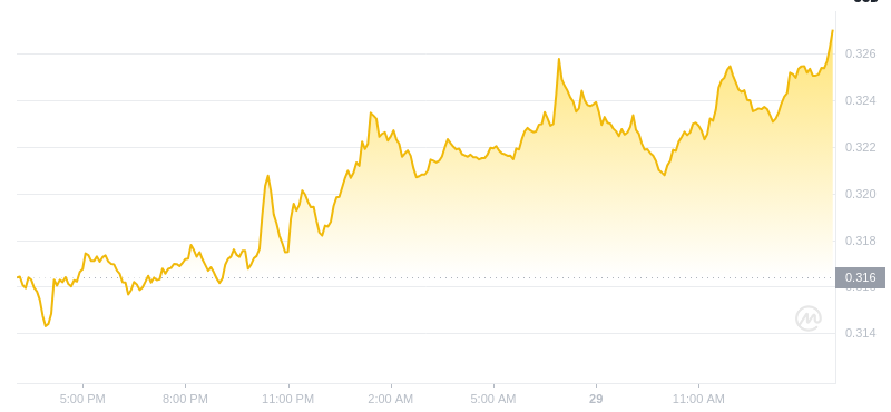 Der aktuellste Preis von Dogecoin um 15:00 Uhr am 29. Dezember 2024