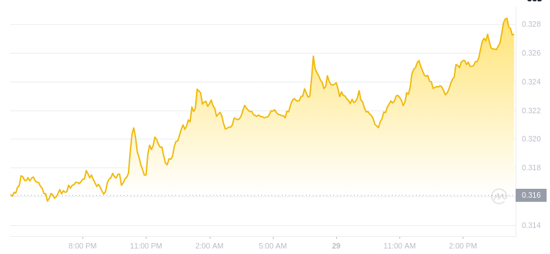 Der aktuelle Preis von Dogecoin um 16:00 Uhr am 29. Dezember 2024