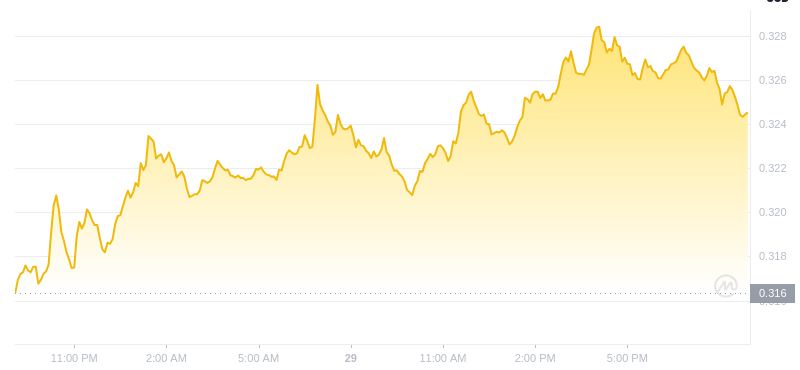 2024년 12월 29일 21:00의 Dogecoin 최신 가격