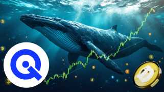 Dogecoin Whale은 1억 6천만 달러를 지출하여 DOGE 및 WallitIQ(WLTQ)를 0.02달러에 인수했으며, 2025년까지 45,500% 급등할 것으로 예상됩니다.