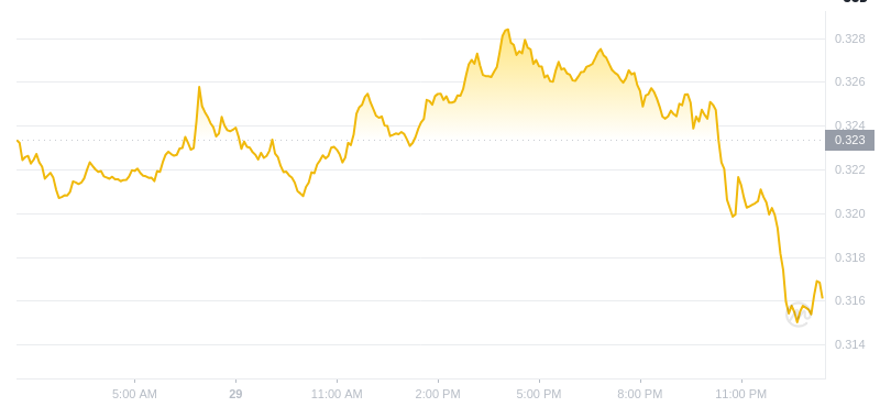 Le dernier prix du Dogecoin à 01h00 le 30 décembre 2024